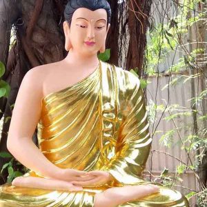 mẫu tượng bổn sư thích ca giả đồng hoặc vẽ diện