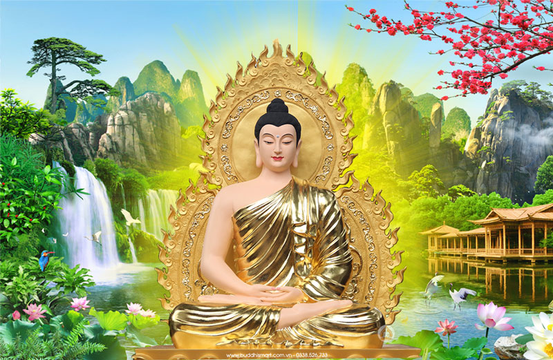 Có nên đặt ảnh Phật trong ví không  Phong thủy may mắn
